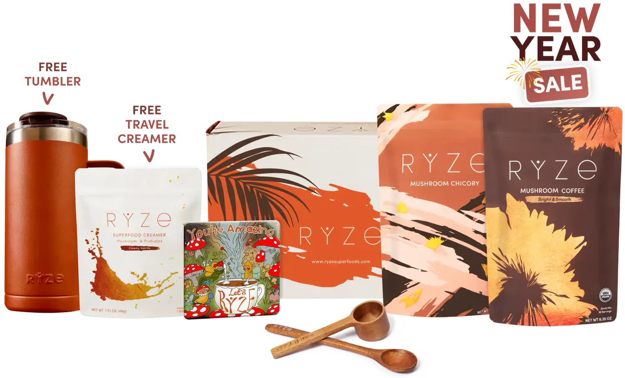 Lasting Energy Bundle